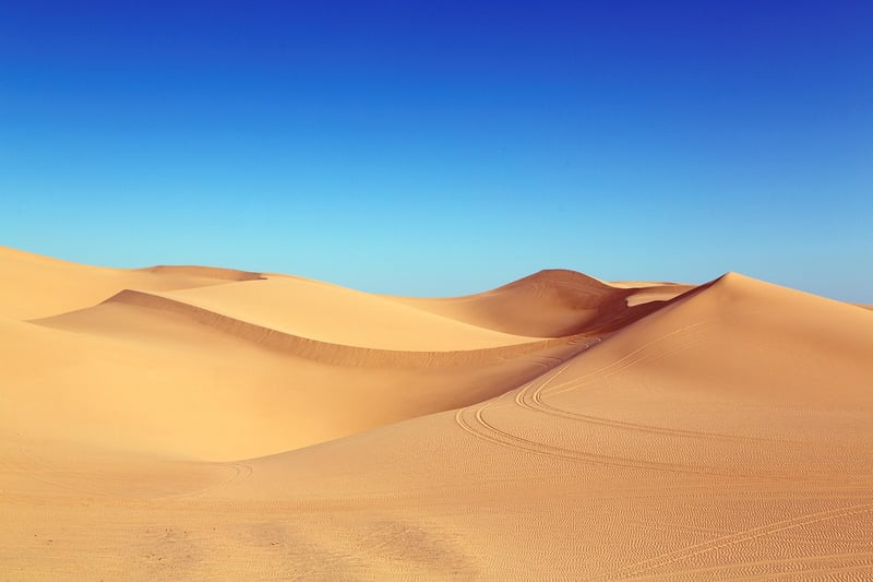 Desert Wonders